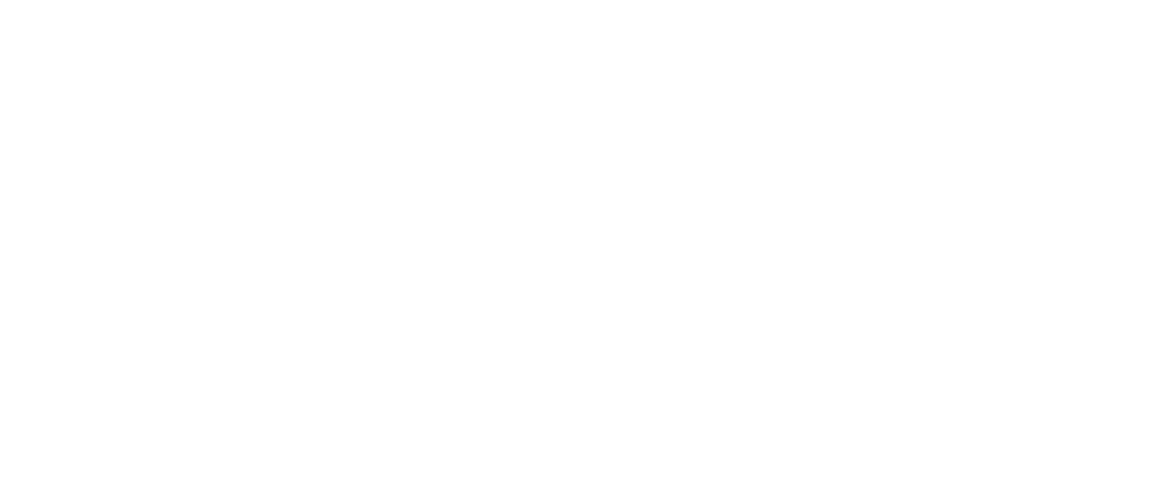 Etrusca Auctions Ltd